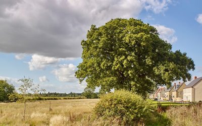 Kingsmere Gets the Green Light for Phase Two in Bicester